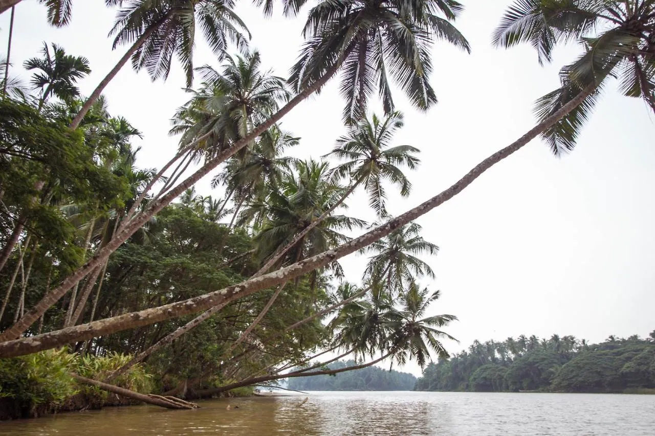 Queen Of Chaliyar - Luxury Houseboat Stay Kozhikode Botel